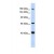 Western Blot: ABCC9 Antibody [NBP1-59350] - This Anti-ABCC9 antibody was used in Western Blot of 721_B tissue lysate at a concentration of 1ug/ml.